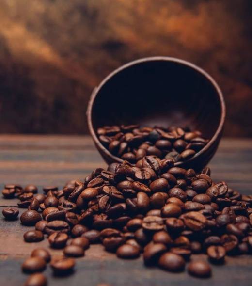 1bb6c8e121769d3eb7414f38db6e9c8c